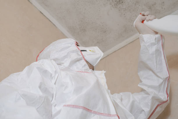 Best Mold Cleaning Services  in Central, TN