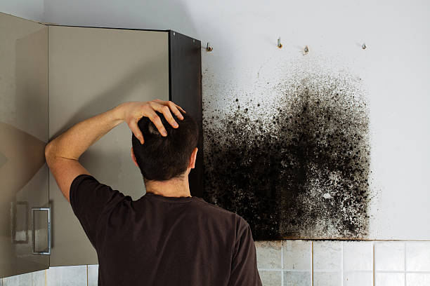 Best Certified Mold Removal  in Central, TN